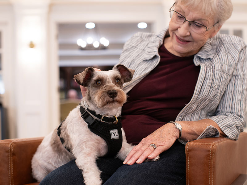 Lifestyle-Gallery-Pet-Friendly Senior woman with small dog on her lap