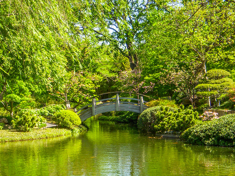Gorgeous view of bridge over water with luscious green trees
