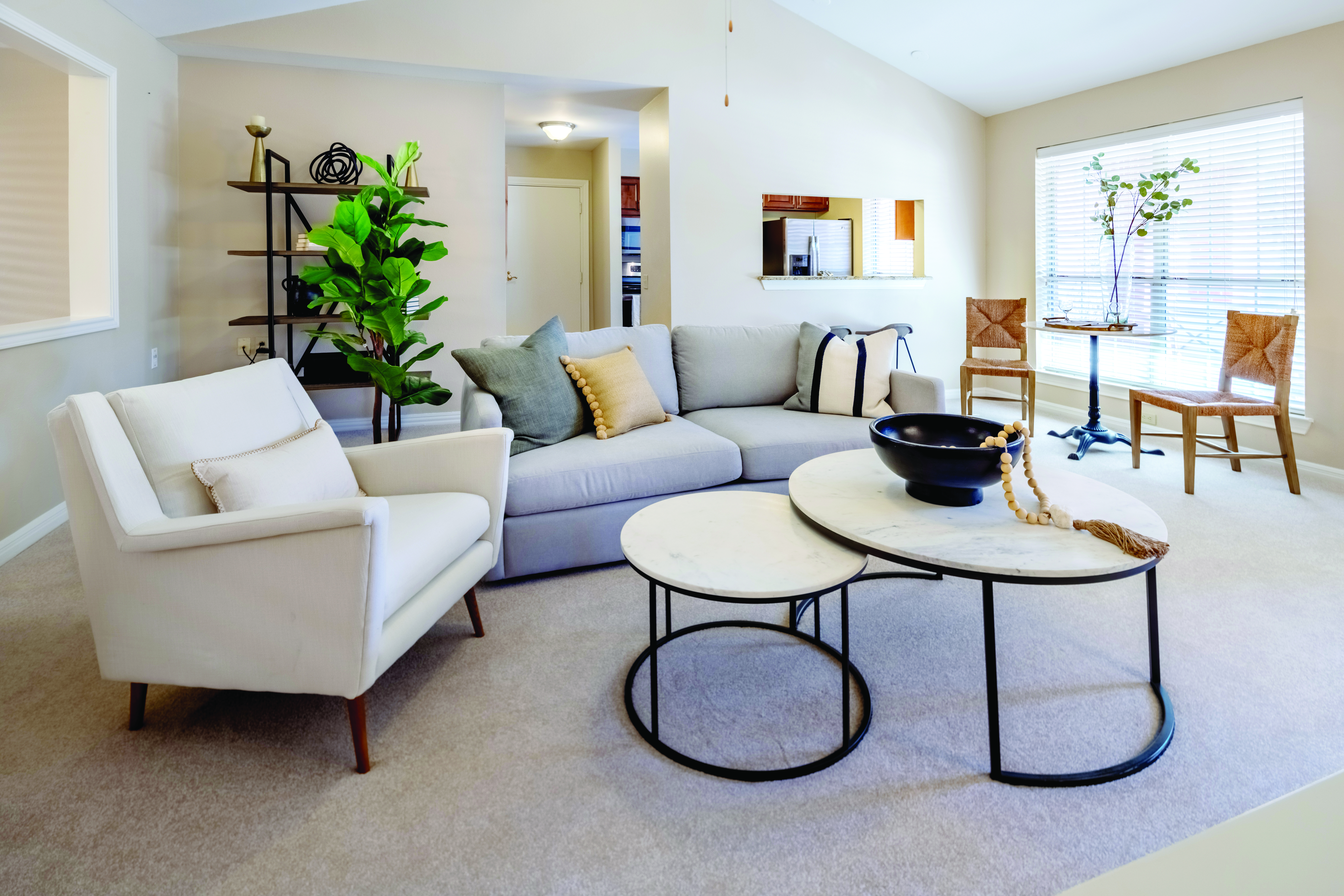 24-FWB-IL-Apartment-071-HDR-4C modern villa living space with comfortable seating and coffee table